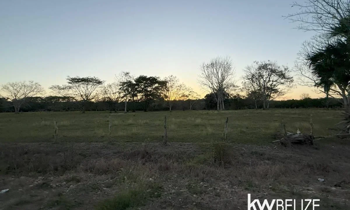 kellerwilliamsbelize-l202504cc-15