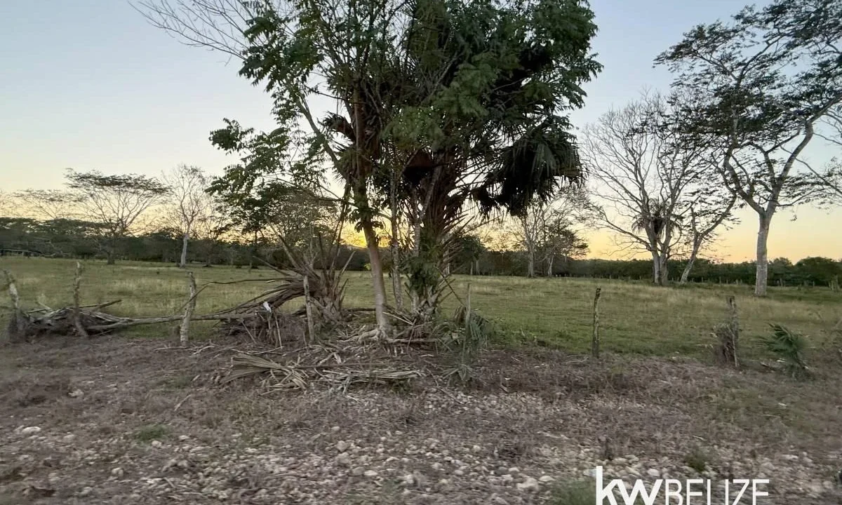 kellerwilliamsbelize-l202504cc-16