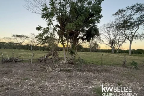 kellerwilliamsbelize-l202504cc-16