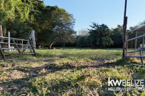 kellerwilliamsbelize-l202504cc-17