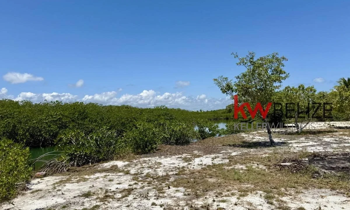 kellerwilliamsbelize-l2108-06