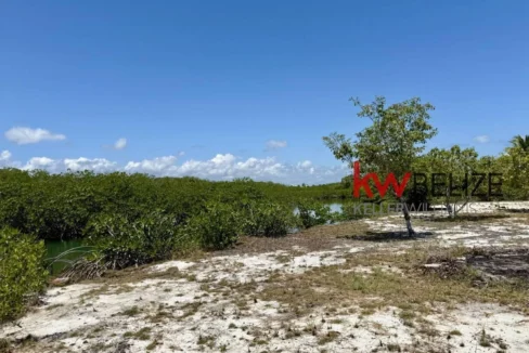 kellerwilliamsbelize-l2108-06