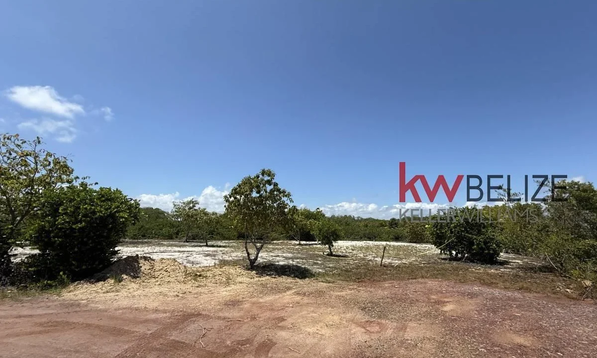 kellerwilliamsbelize-l2108-07