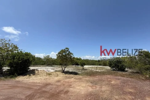 kellerwilliamsbelize-l2108-07