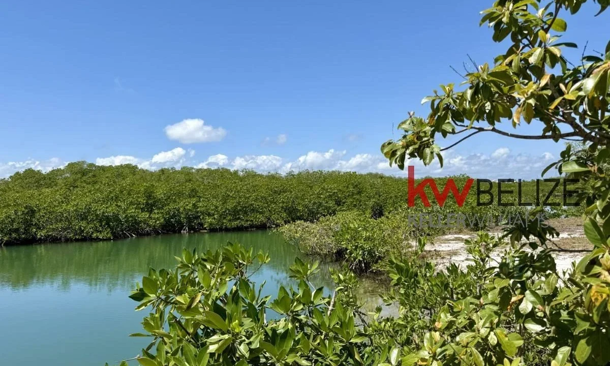 kellerwilliamsbelize-l2108-09