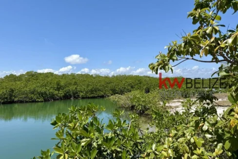 kellerwilliamsbelize-l2108-09