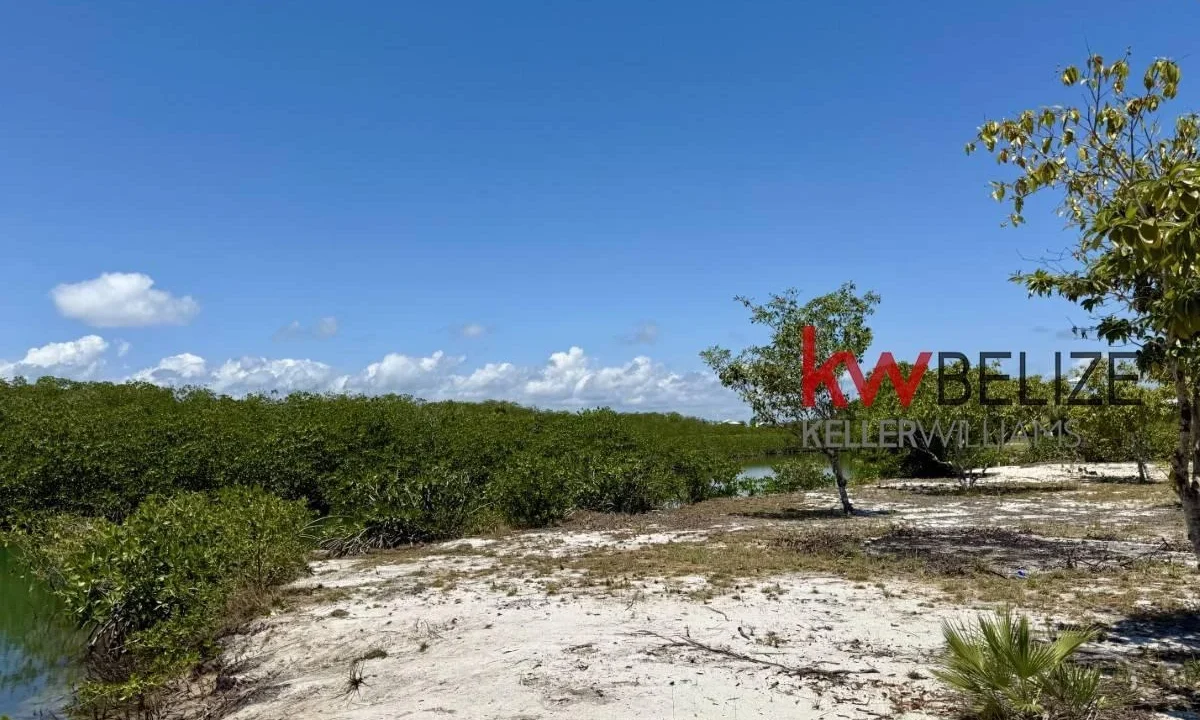 kellerwilliamsbelize-l2108-13