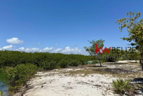kellerwilliamsbelize-l2108-13