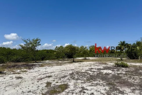 kellerwilliamsbelize-l2108-14