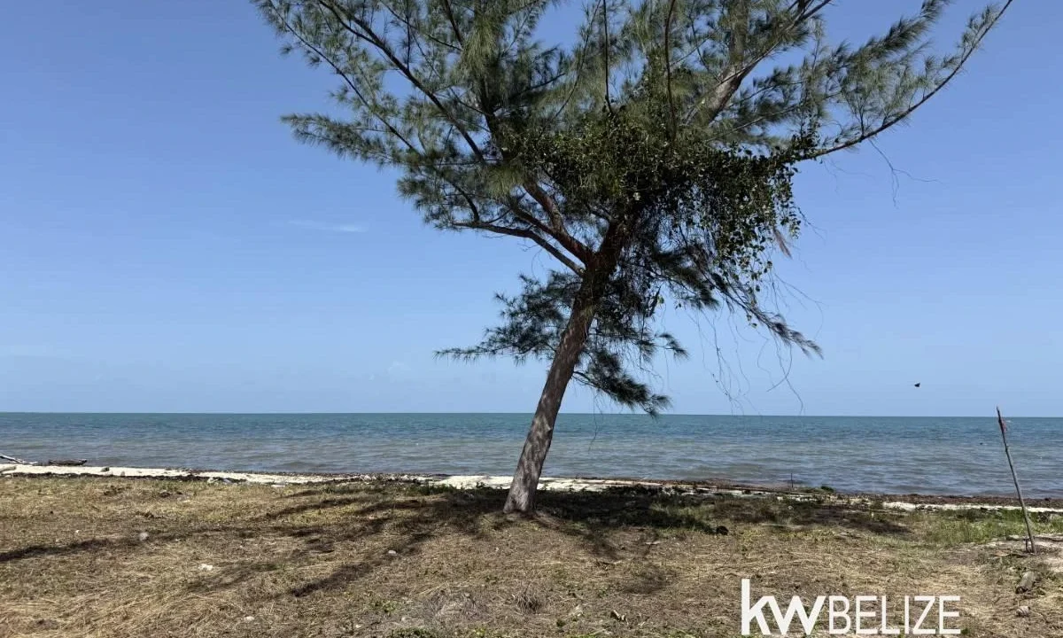 kellerwilliamsbelize-l2116-02