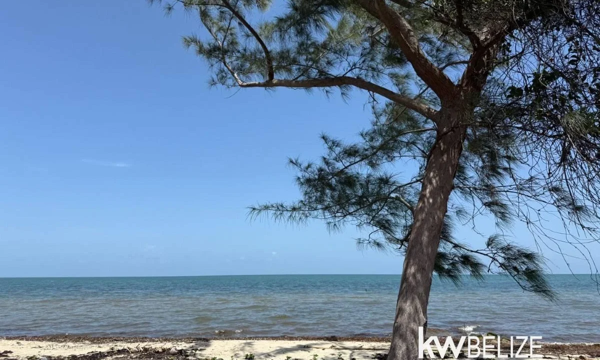 kellerwilliamsbelize-l2116-03