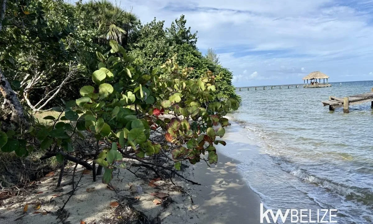 kellerwilliamsbelize-l2124-03