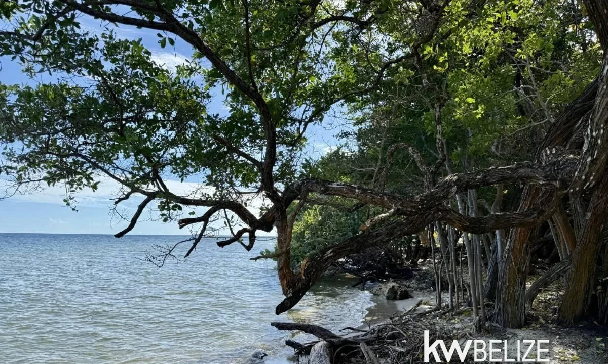 kellerwilliamsbelize-l2124-04