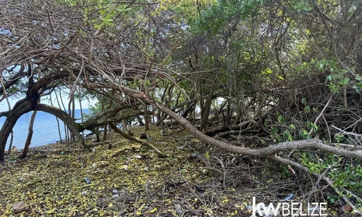 kellerwilliamsbelize-l2124-05