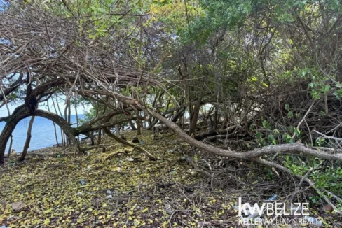 kellerwilliamsbelize-l2124-05