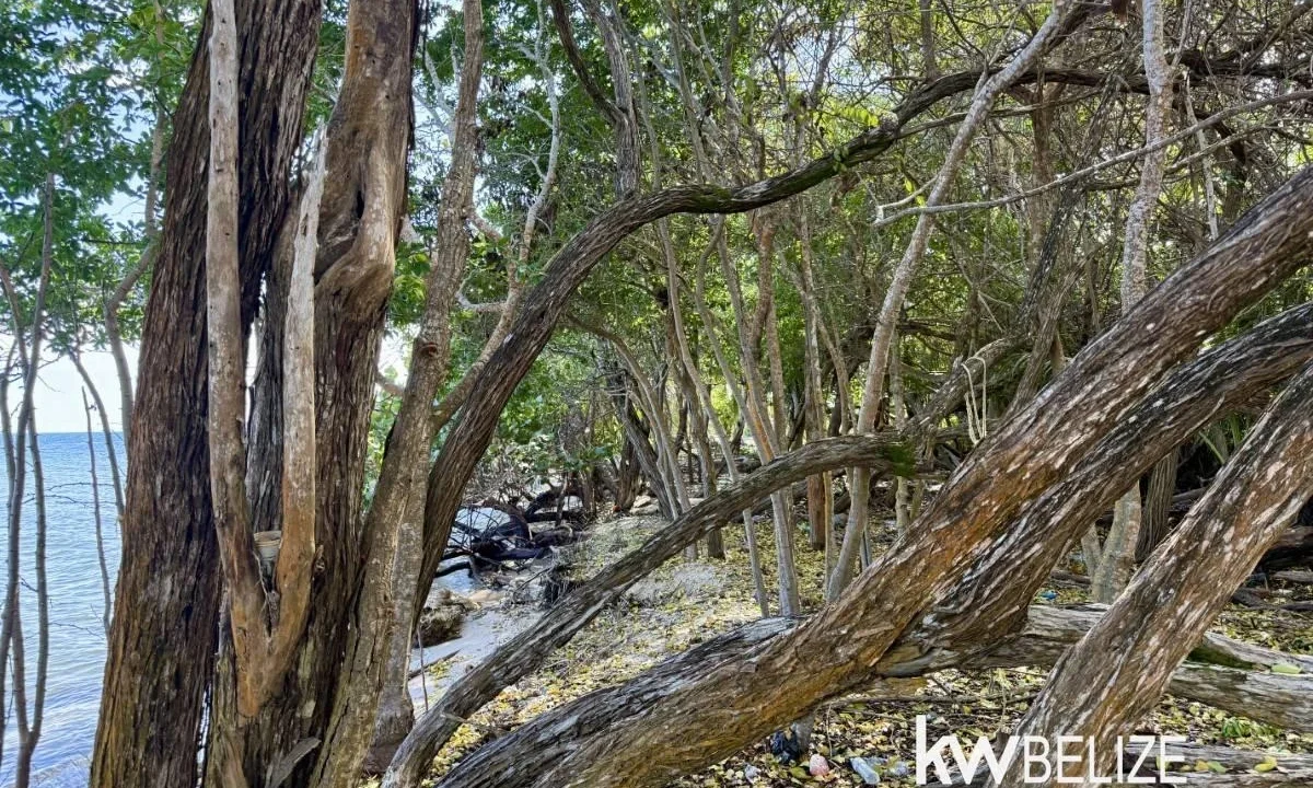 kellerwilliamsbelize-l2124-06