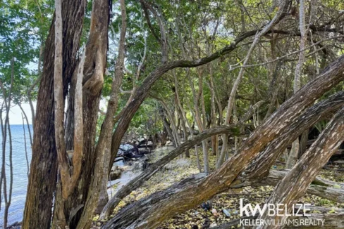 kellerwilliamsbelize-l2124-06