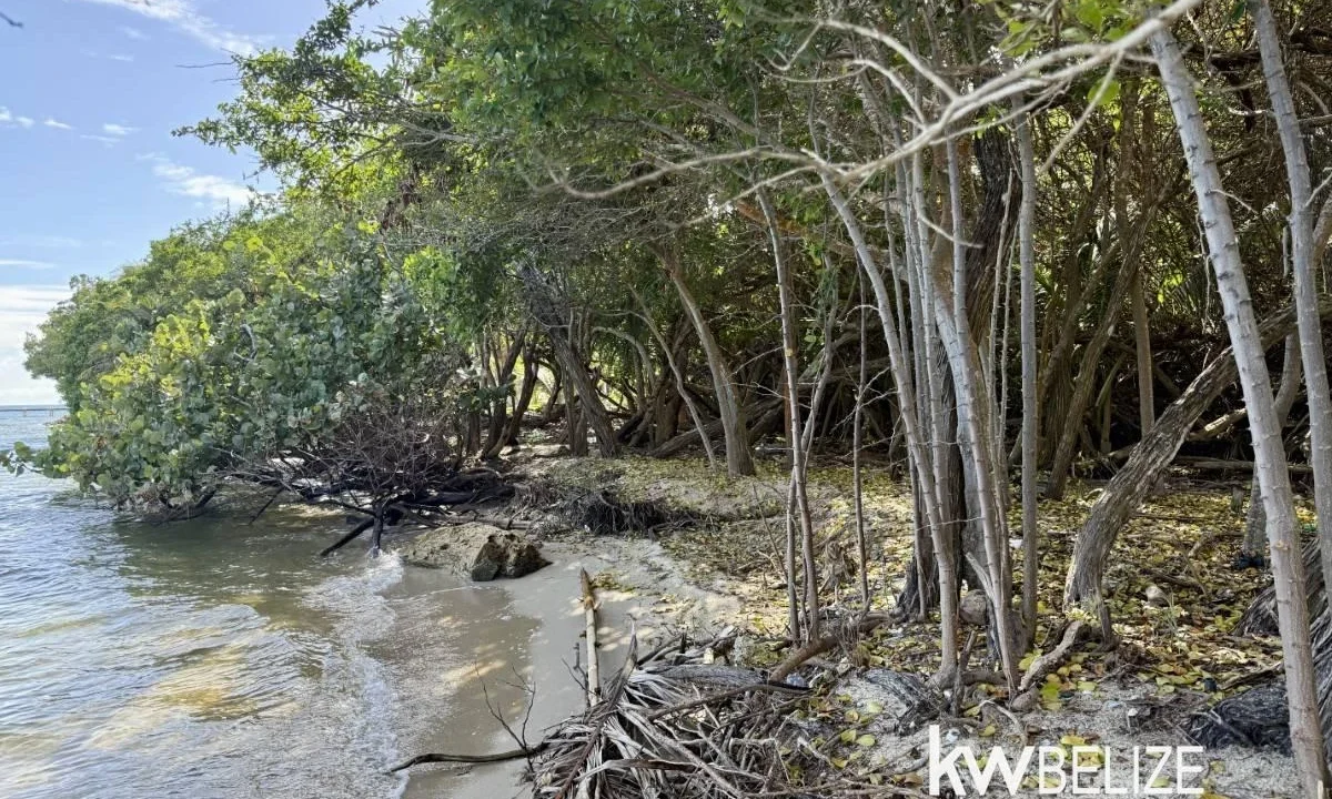 kellerwilliamsbelize-l2124-07