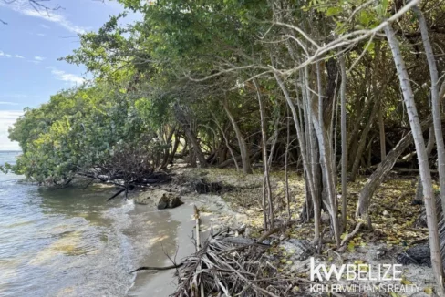 kellerwilliamsbelize-l2124-07