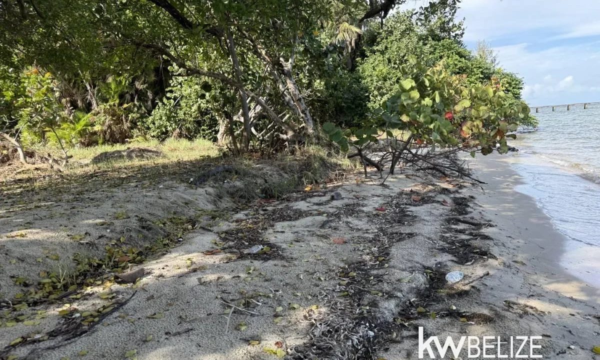 kellerwilliamsbelize-l2124-08