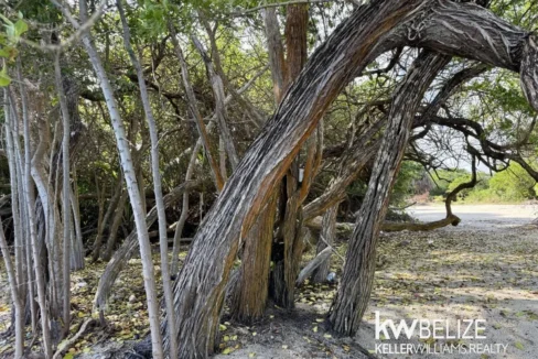 kellerwilliamsbelize-l2124-09