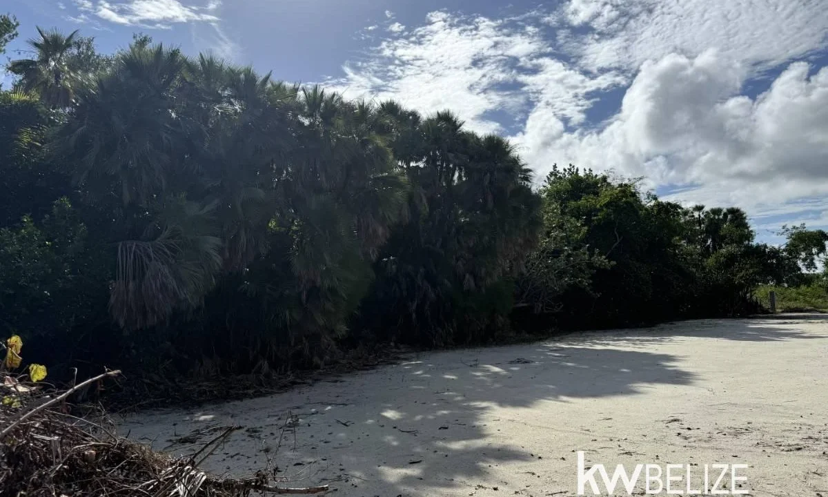 kellerwilliamsbelize-l2124-10