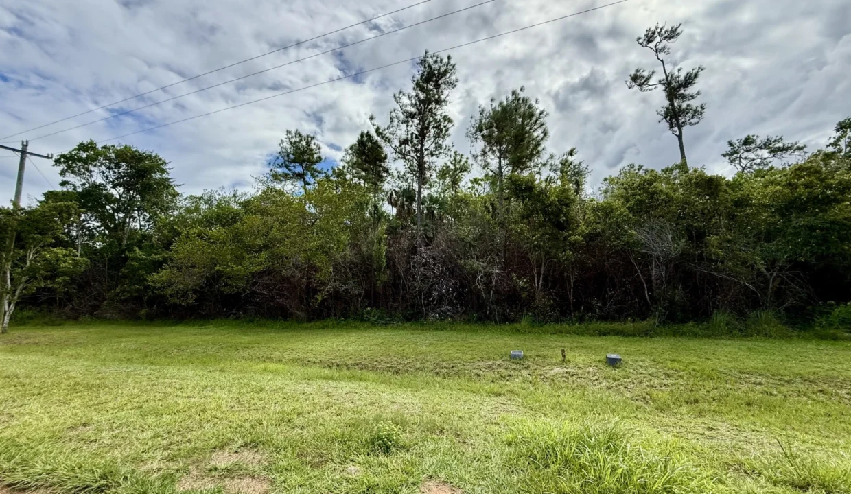 kellerwilliamsbelize-l2125-01