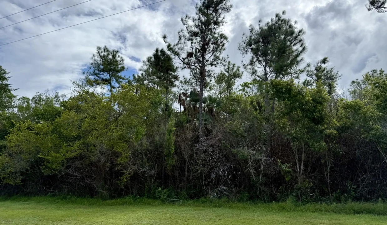 kellerwilliamsbelize-l2125-02