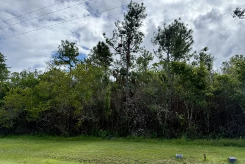 kellerwilliamsbelize-l2125-02