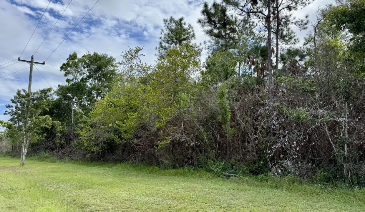 kellerwilliamsbelize-l2125-03
