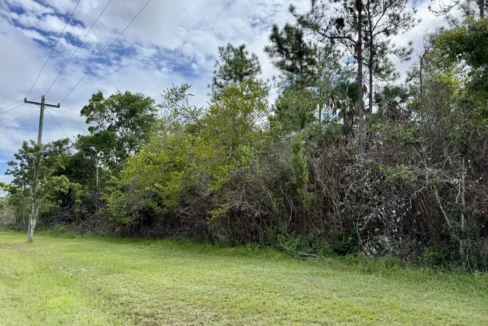 kellerwilliamsbelize-l2125-03