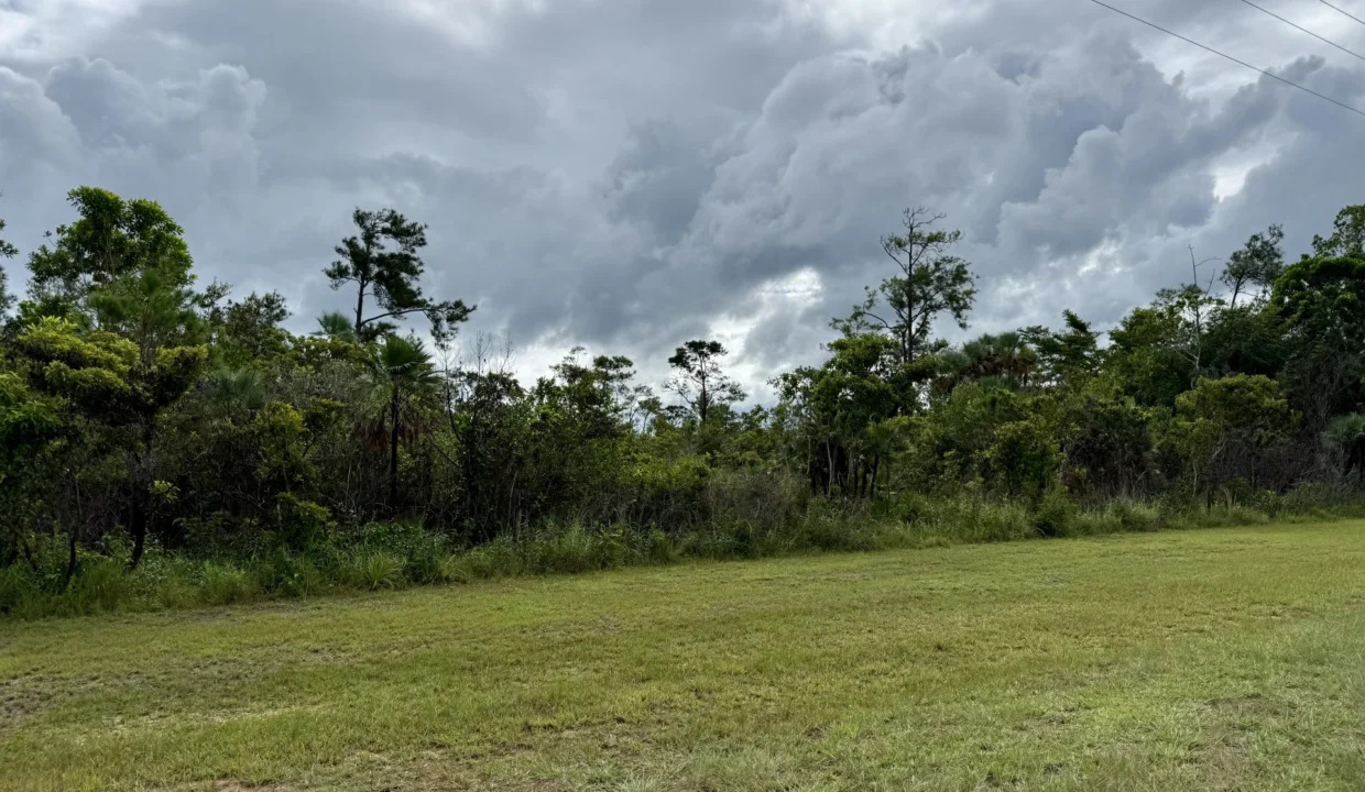 kellerwilliamsbelize-l2125-07