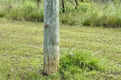 kellerwilliamsbelize-l2125-10