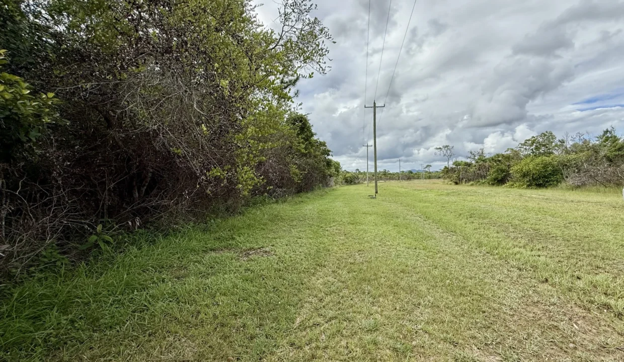 kellerwilliamsbelize-l2125-12