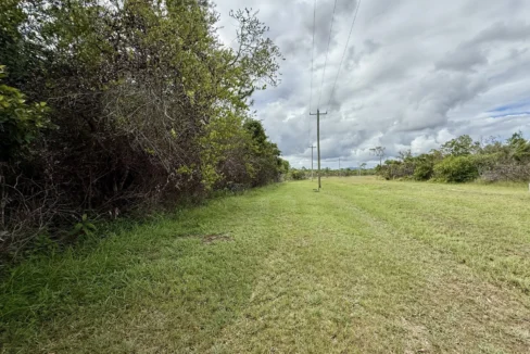 kellerwilliamsbelize-l2125-12