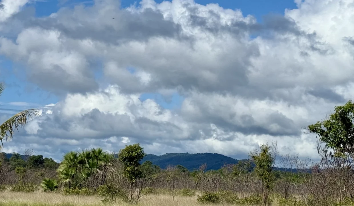 kellerwilliamsbelize-l2125-15