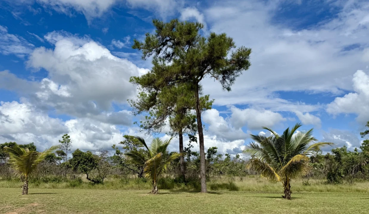 kellerwilliamsbelize-l2125-16