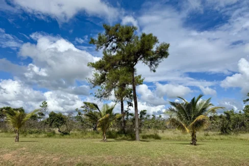 kellerwilliamsbelize-l2125-16