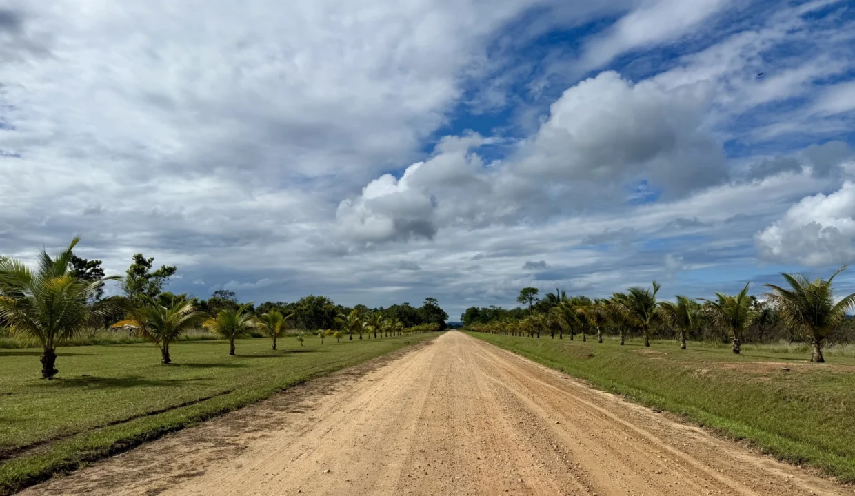 kellerwilliamsbelize-l2125-17