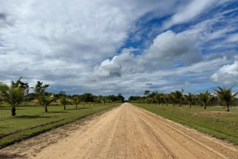 kellerwilliamsbelize-l2125-17