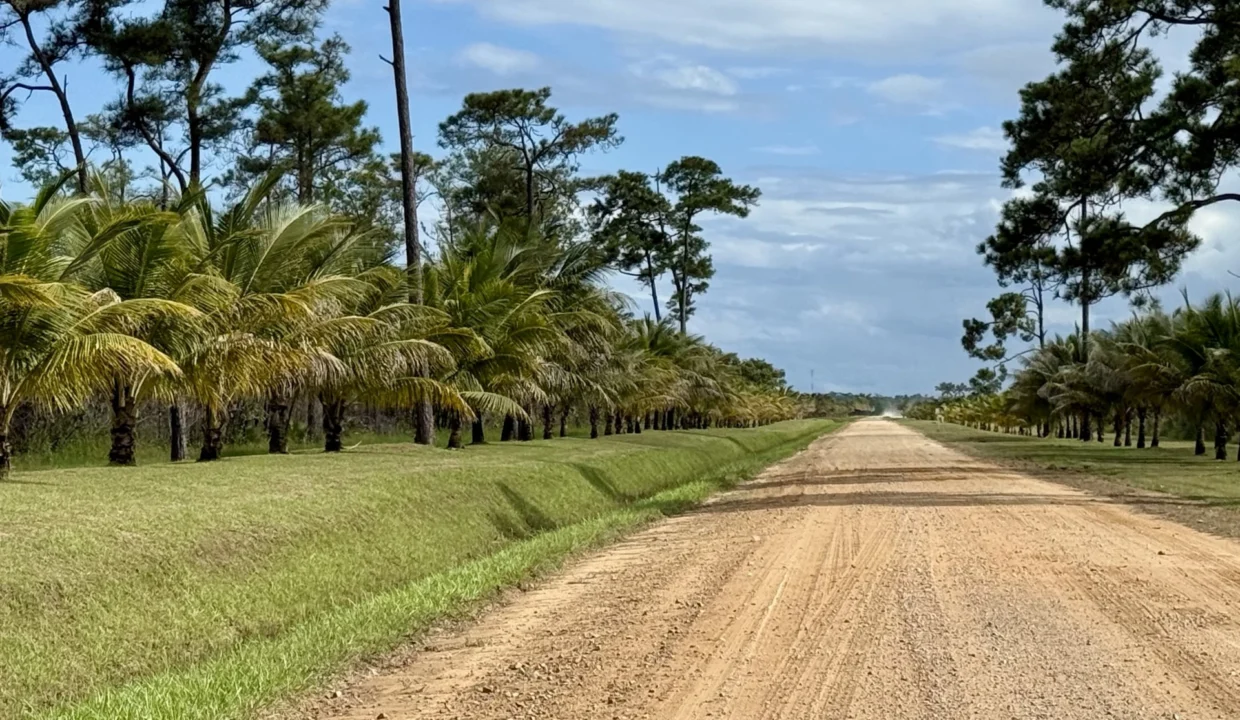 kellerwilliamsbelize-l2125-18
