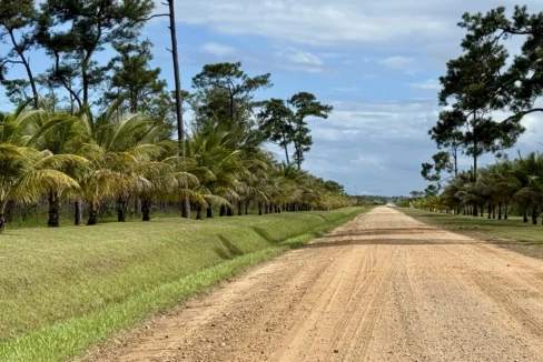 kellerwilliamsbelize-l2125-18