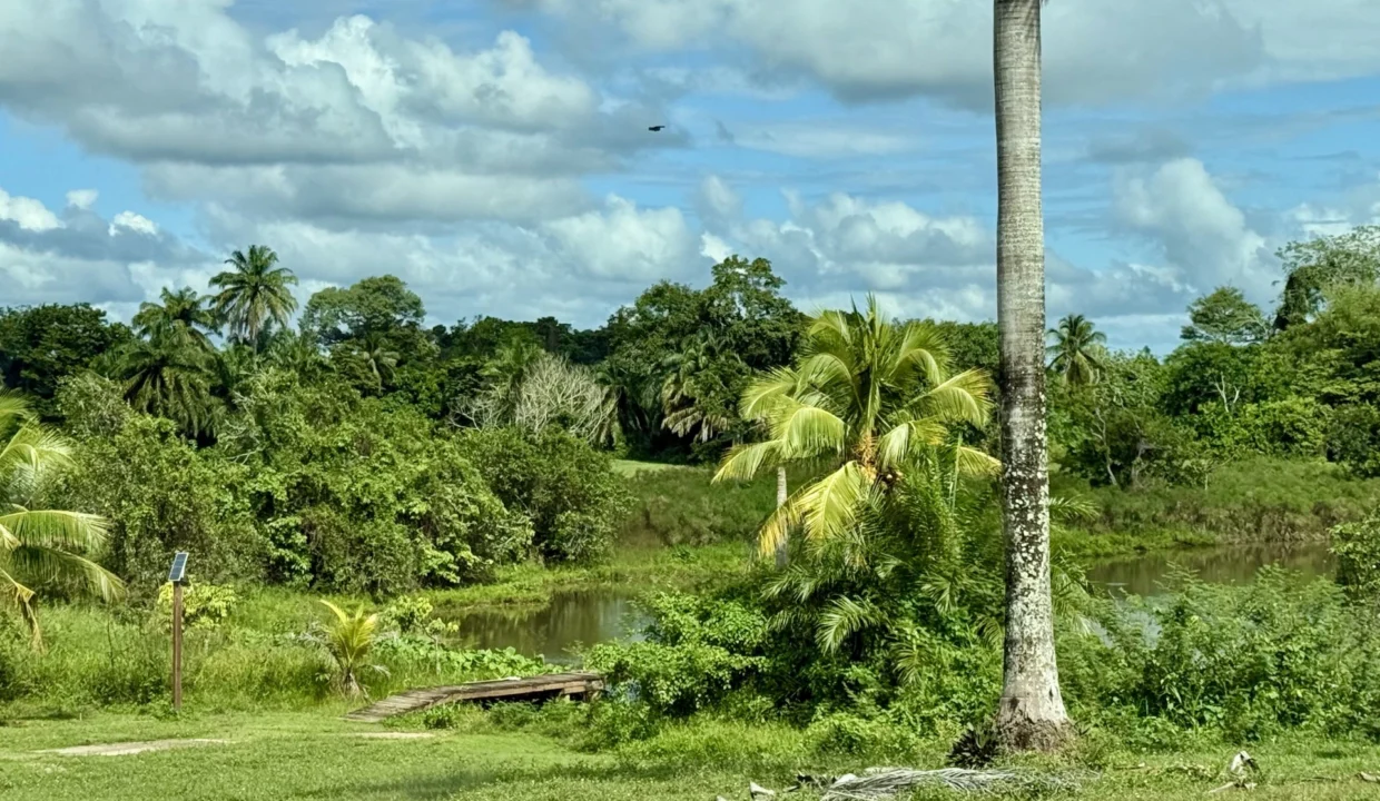 kellerwilliamsbelize-l2125-19
