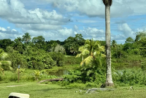 kellerwilliamsbelize-l2125-19