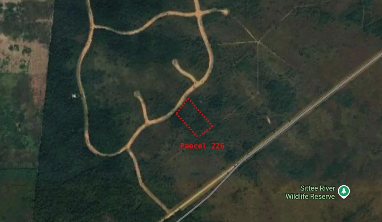 kellerwilliamsbelize-l2125-26