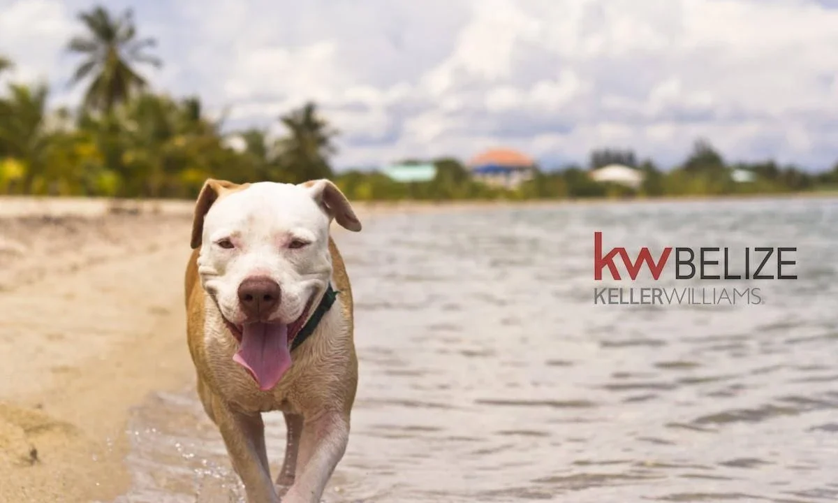 kellerwilliamsbelize-l222203sp-01