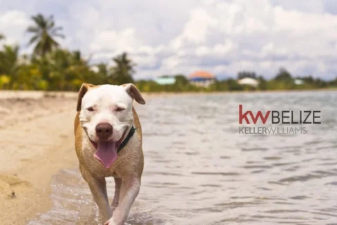 kellerwilliamsbelize-l222203sp-01