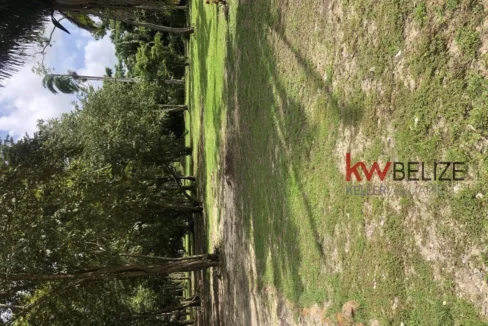 kellerwilliamsbelize-l232203bc-04