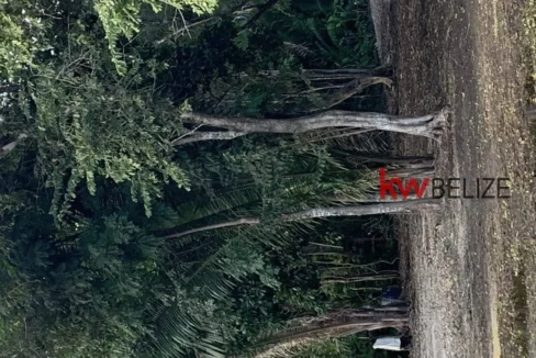 kellerwilliamsbelize-l232203bc-06