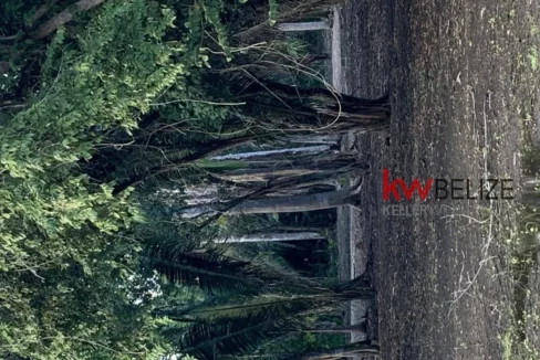kellerwilliamsbelize-l232203bc-07